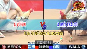 Trận 31 CPC3 16/05/2026 - Anh Vũ Đồng Nai Lụm Luôn Idol Mít Trà Cú