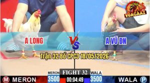 Trận 32 CPC3 18/05/2026 - Gà Bướm Anh Long Đá Đâm Như Đời Tới
