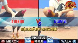 Trận 32 CPC3 21/05/2026 - Gà Anh Lam VL Đá Chân Nào Cũng Dính Cựa