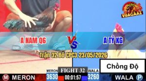 Trận 32 CPC3 23/05/2026 - Gà Anh Nam Q6 Nuốt Ói Gồng Gánh Cứu Chủ