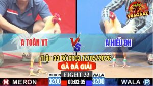 Trận 33 CPC3 17/05/2026 - Gà Úa Anh Toàn Vũng Tàu Có Chân Dứt Điểm