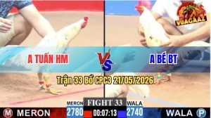 Trận 33 CPC3 21/05/2026 - Gà Anh Bé Bến Tre Tải Cựa Quá Tốt