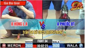Trận 34 CPC2 30/05/2026 - Gà Anh Hùng Long An Đá Đúng 1 Tay Nước