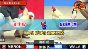 Trận 35 CPC2 30/05/2026 - Gà Anh Kiểm CM Đá Nhập Mấy Cây Hiểm
