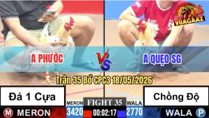 Trận 35 CPC3 18/05/2026 - Gà Anh Quẹo SG Chồng Độ Còn Chấp 7 Chấm