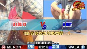 Trận 35 CPC3 21/05/2026 - Gà Khét Xanh Đá Đâm Như Giang Hồ