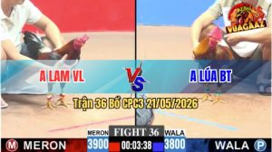 Trận 36 CPC3 21/05/2026 - Anh Lam VL Hạ Anh Lúa Trong 1 Tay Nước