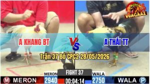 Trận 37 CPC2 28/05/2026 - Gà Chuối Anh Thái Đá Cựa Đâm Như Cái Máy