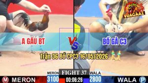 Trận 37 CPC3 16/05/2026 - Gà Xanh Của Bồ C3 Nhỏ Mà Có Võ