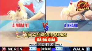 Trận 37 CPC3 17/05/2026 - Gà Úa Anh Khang Có Chân Cựa Chí Mạng