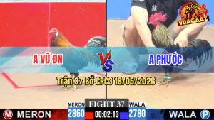Trận 37 CPC3 18/05/2026 - Anh Vũ Đồng Nai Thành Công Hạ Anh Phước