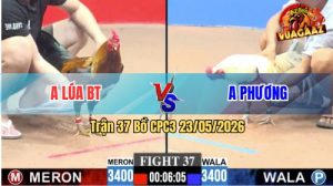 Trận 37 CPC3 23/05/2026 - Anh Lúa Gặp Anh Phương, Cân Tài Cân Sức