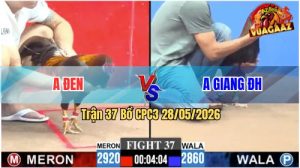 Trận 37 CPC3 28/05/2026 - Gà Anh Đen Thì Ói, Gà Anh Giang Thì Bỏ Mặt