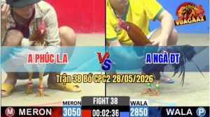 Trận 38 CPC2 28/05/2026 - Anh Phúc Lụm Anh Ngà Vì Tội Chấp Ẩu