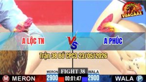 Trận 38 CPC3 23/05/2026 - Anh Phúc Hạ Đối Thủ Chạy Quanh Bồ