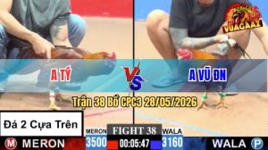 Trận 38 CPC3 28/05/2026 - Gà Anh Tý Có Đòn Cựa Quá Nghiệt Ngã