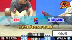 Trận 39 CPC2 20/05/2026 - Gà Bông Idol Bảo Sting Chồng Độ Ăn Đẳng Cấp