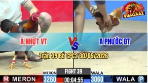 Trận 39 CPC2 30/05/2026 - Gà Anh Phước Đá Cựa Đâm Như Chĩa