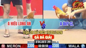 Trận 39 CPC3 17/05/2026 - Gà Anh Hiếu Long An Đâm Cựa Quá Tịch