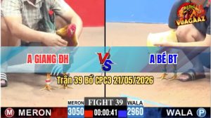 Trận 39 CPC3 21/05/2026 - Anh Bé Bến Tre Thành Công Hạ Anh Giang ĐH