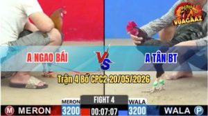 Trận 4 CPC2 20/05/2026 - Anh Ngao Bái Thành Công Hạ Anh Tân BT