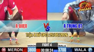 Trận 4 CPC2 25/05/2026 - Gà Anh Trung Bến Tre Đá Nhanh Như Tép