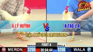 Trận 4 CPC2 28/05/2026 - Anh Tạo Long An Hạ Chưa Tới 1 Tay Nước