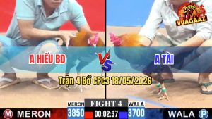 Trận 4 CPC3 18/05/2026 - Gà Anh Hiếu Bình Dương Đá Chậm Mà Chắc