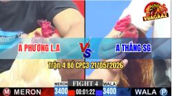Trận 4 CPC3 21/05/2026 - Gà Anh Thắng Sài Gòn Nhấc Chân Là Có Cựa