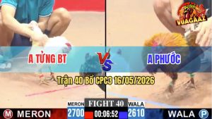 Trận 40 CPC3 16/05/2026 - Gà Bướm Anh Tửng Bến Tre Đâm Quá Tịch