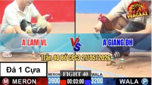 Trận 40 CPC3 21/05/2026 - Gà Anh Lam VL Đá Toàn Đâm Cựa Tịch