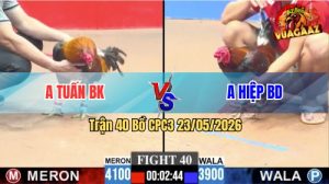 Trận 40 CPC3 23/05/2026 - Gà Anh Hiệp BD Không Chừa Cho Đỏ Đường Về