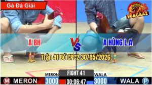 Trận 41 CPC2 30/05/2026 - Gà Đỏ Đá 1 Cây Cựa Nghiệt, Xanh Hết Cứu