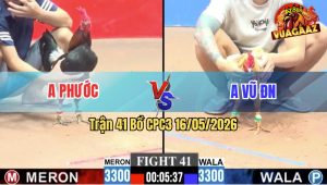 Trận 41 CPC3 16/05/2026 - Gà Bướm Có Pha Lội Ngược Dòng Thành Công