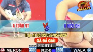 Trận 41 CPC3 17/05/2026 - Gà Úa Anh Hiếu Có Chân Cựa Quyết Định