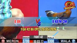Trận 42 CPC2 20/05/2026 - Idol Kiểm CM Chấp Ngông Đụng Phải Hàng Xịn