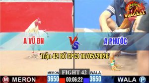 Trận 42 CPC3 16/05/2026 - Gà Bướm Anh Vũ Đồng Nai Toàn Đâm Đầu Cần