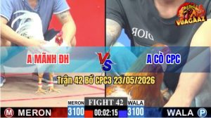 Trận 42 CPC3 23/05/2026 - Gà Anh Cò CPC Có Chân Cựa Dứt Điểm