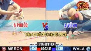 Trận 43 CPC3 16/05/2026 - Gà Anh Vũ Đồng Nai Đá Đâm Ngay Ông Địa