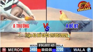 Trận 43 CPC3 21/05/2026 - Anh Trường Hạ Anh Bé Trong Mấy Chân Đầu