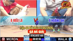 Trận 44 CPC3 17/05/2026 - Gà Anh Hoàng Khiến Đối Thủ Hoảng Sợ Bỏ Chạy