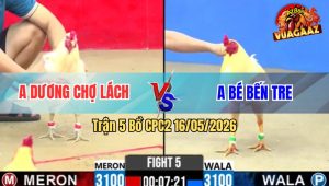 Trận 5 Bồ CPC2 16/5/2026 - Bé Bến Tre Ra Quân Gặp Hàng Xịn Đá Cho Té Đau