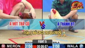 Trận 5 CPC2 20/05/2026 - Gà Hiệu Anh Mít Trà Cú Đá Phản Chân Quá Hay