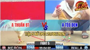 Trận 5 CPC2 23/05/2026 - Anh Thuần BT Đá Đối Thủ Không Kịp Thở