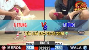 Trận 5 CPC2 25/05/2026 - Gà Điều Anh Tùng Có Pha Lật Kèo Quá Hay