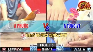 Trận 5 CPC3 23/05/2026 - Gà Bướm Anh Tửng Canh Chặn Quá Khéo