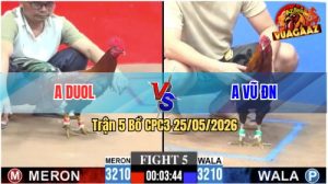 Trận 5 CPC3 25/05/2026 - Anh Vũ ĐN Không Cho Anh Doul Cơ Hội Nào