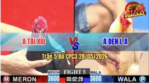 Trận 5 CPC3 28/05/2026 - Anh Đen Long An Có Pha Lội Ngược Dòng