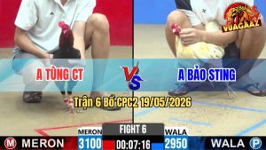 Trận 6 CPC2 19/05/2026 - Idol Bảo Sting Tung Gà Bướm Hiệu Ra Trận