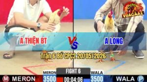 Trận 6 CPC2 20/05/2026 - Gà Bướm Anh Long Đá Chưa Tới 1 Tay Nước